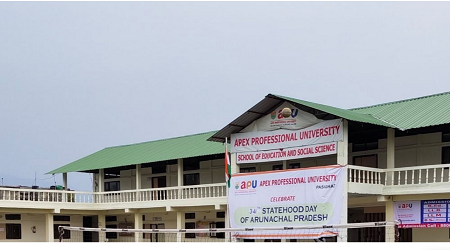 Apex Professional University