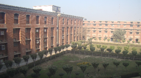 IILM University