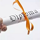 DIPLOMA IN PHYSIOTHERAPY
