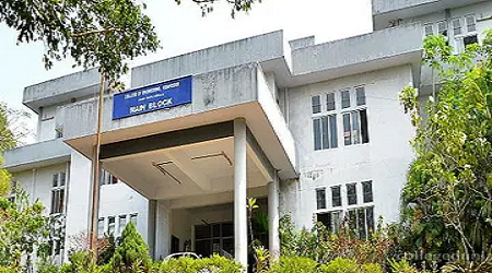 College of Engineering, Kidangoor
